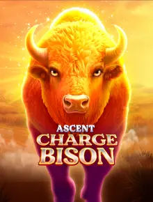 Ascent Charge Bison